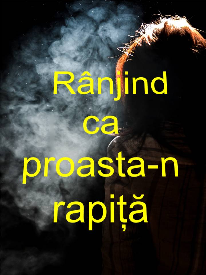 VERTICALI PENTRU ROMÂNIA: CONVULSII TĂCUTE