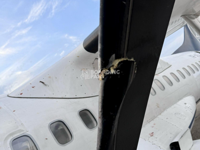 Avion Tarom avariat de un fazan