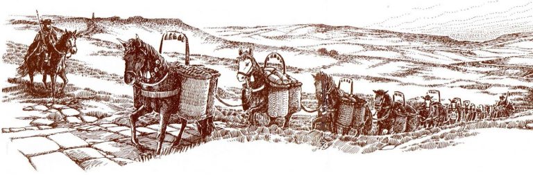 Comerțul cu sare, mineritul și agricultura: principalele îndeletniciri aducătoare de bunăstare ale sătmărenilor, în Evul Mediu