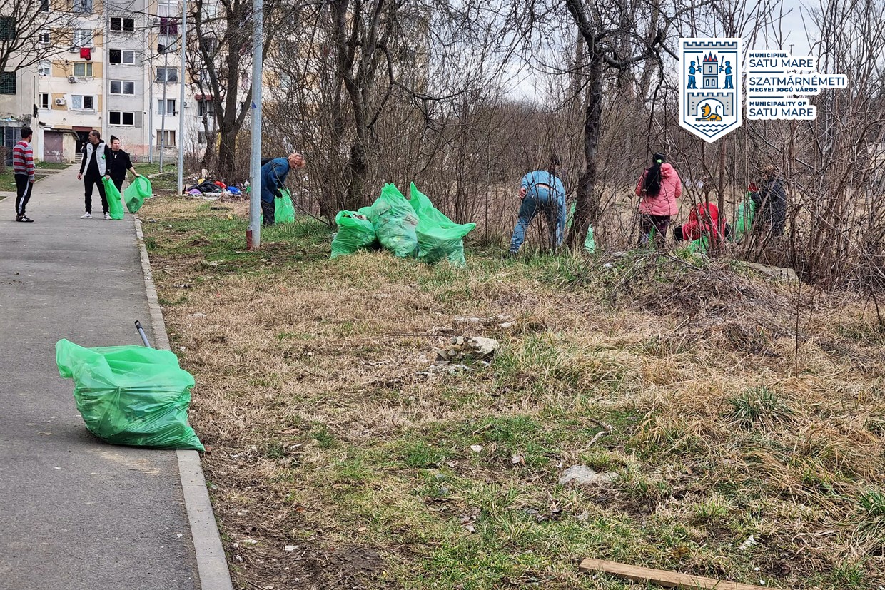 Asistații social sătmăreni, scoși la muncă