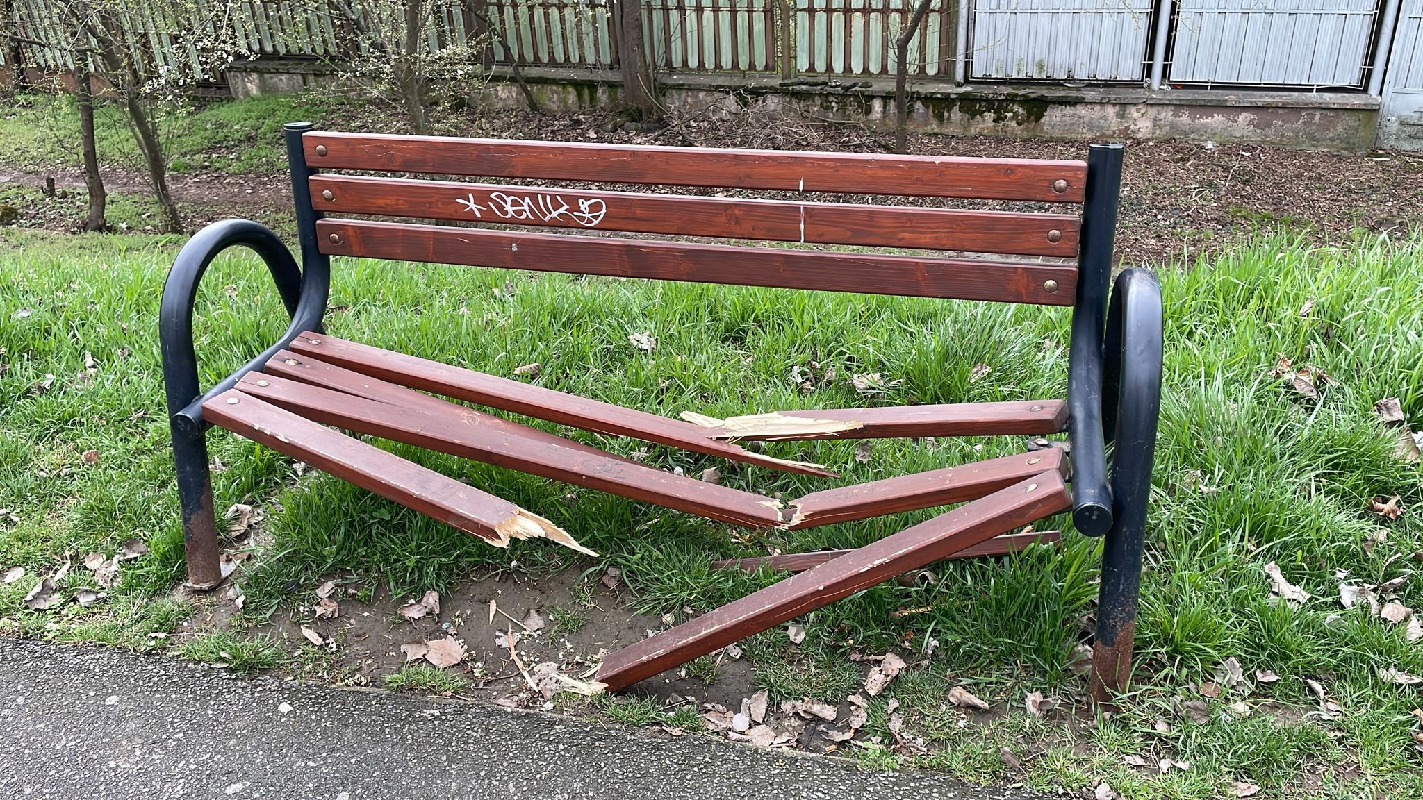 Dar cu banca ce-ați avut?