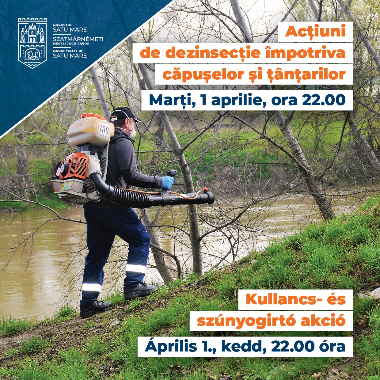 Acțiuni de Deratizare și Dezinsecție în Municipiul Satu Mare