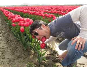 Lalele, lalele, gustoasele mele, lalele!