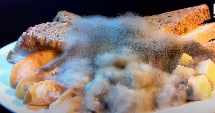 ,,Flori de mucigai...”