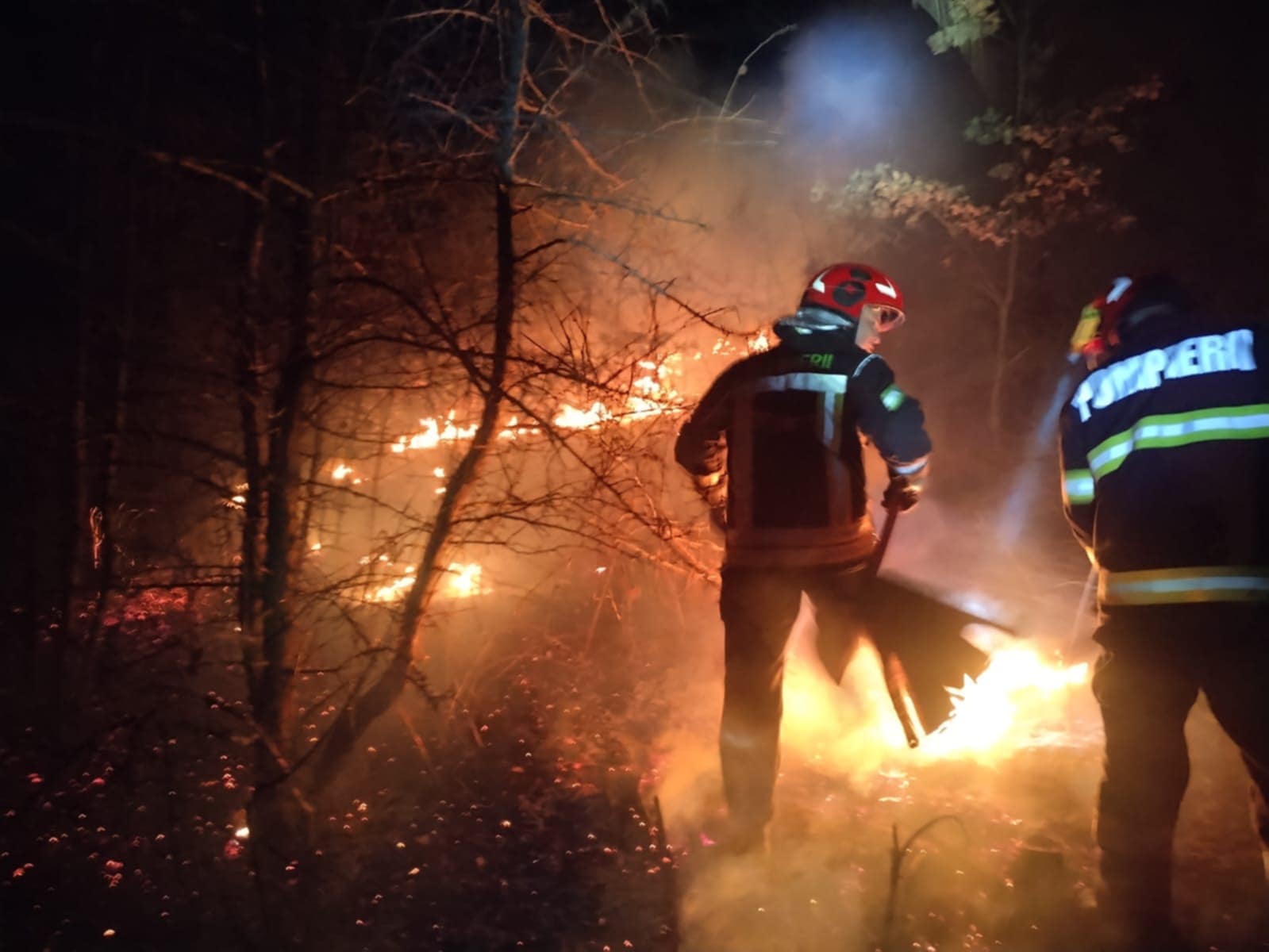 FOTOGALERIE. Sătmarul, sub imperiul focului. Zeci de hectare în flăcări, în județ