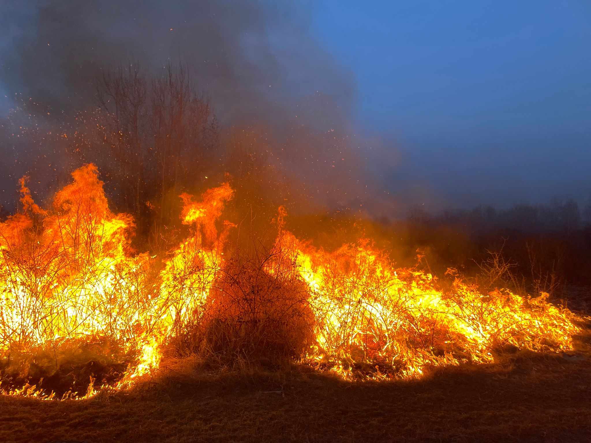 INTERVENȚII IMPORTANTE. Pompierii din Satu Mare au lichidat 15 incendii de vegetație uscată într-un singur weekend