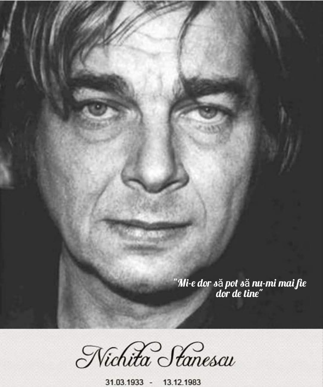 Comuna Medieşu Aurit, vizitată în trecut de poetul Nichita Stănescu