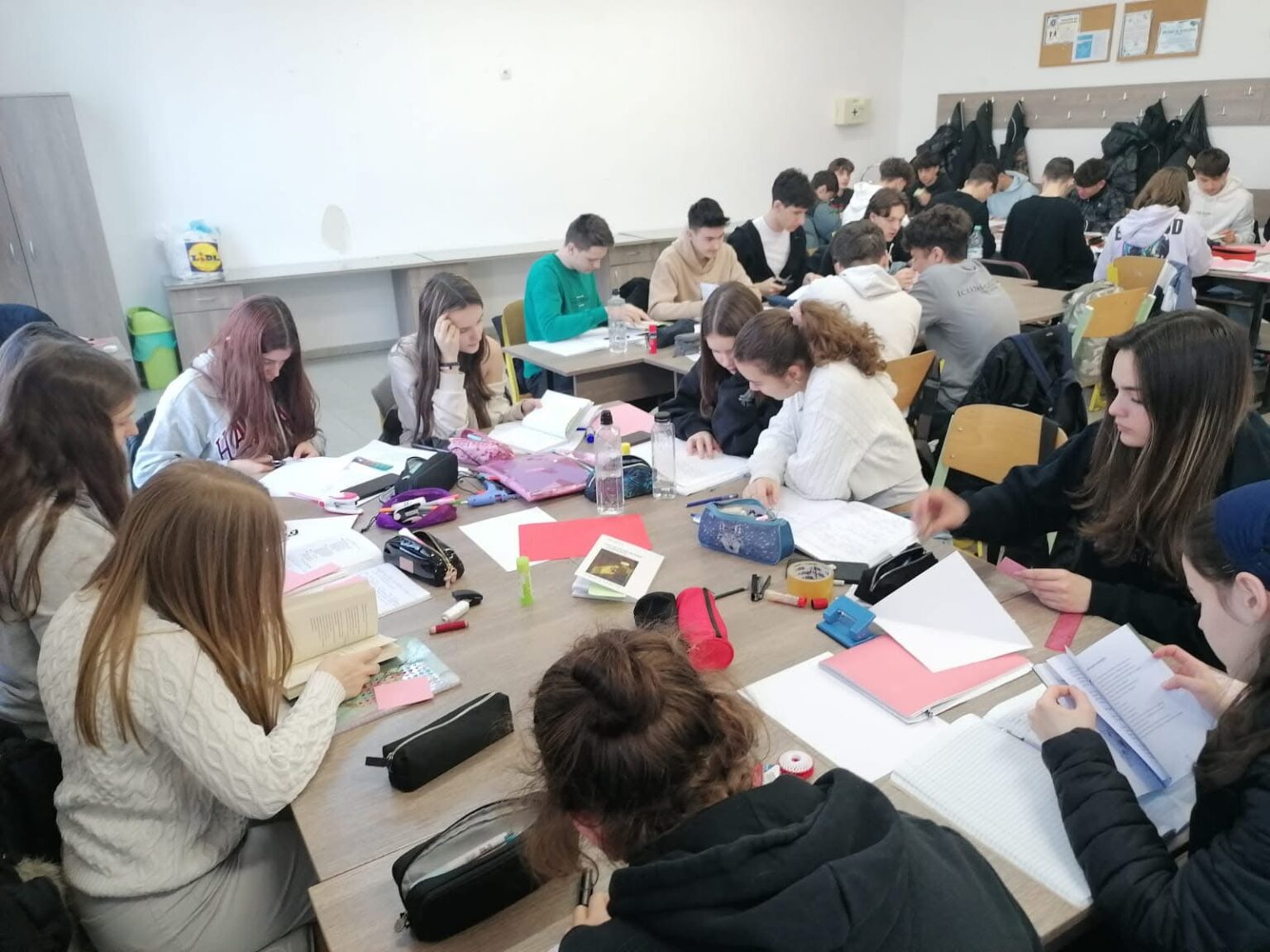 „Martie cu Poezie” – o săptămână cu poezie la Colegiul Naţional ,,Doamna Stanca”