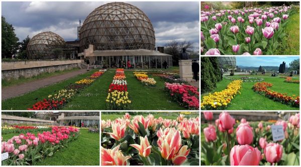 Destinații de weekend / Grădina Botanică din Jibou – Oază de natură și cunoaștere
