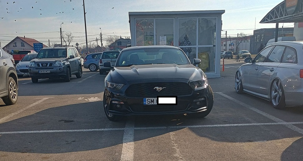 Mustangul negru – Armăsarul neînțeles al parcărilor pentru mame