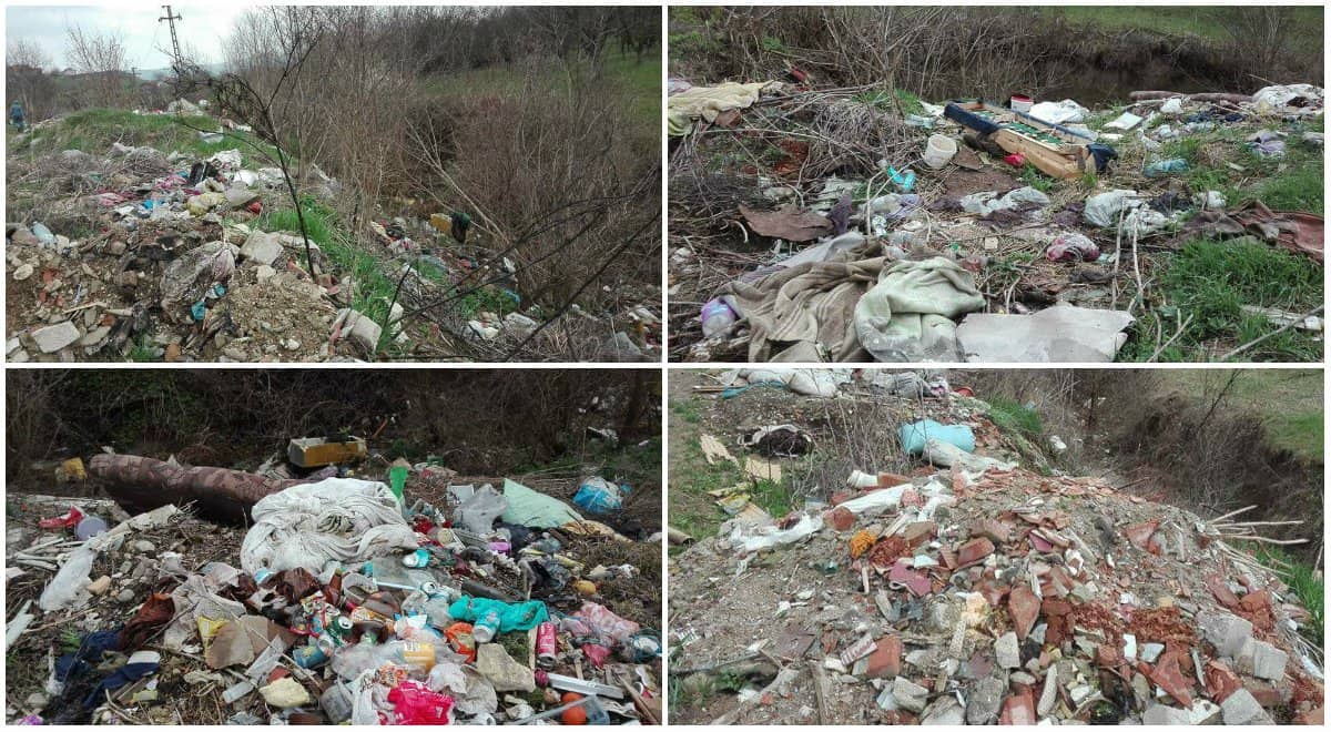 Nesimțiții... tot nesimțiți