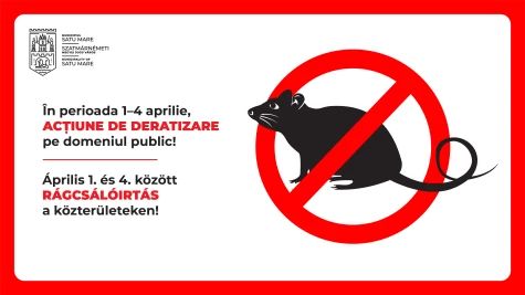 Acțiuni de deratizare în municipiul Satu Mare