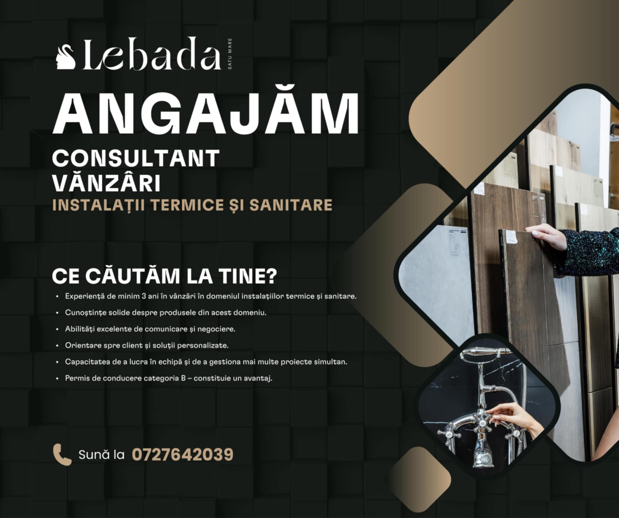 Hai în echipa Lebăda din Satu Mare! Căutăm Consultant Vânzări – Instalații Termice și Sanitare