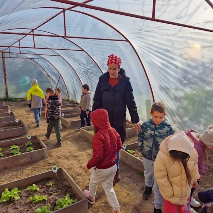 Magia Naturii în Săptămâna Verde: Copiii descoperă natura la Asociația Stea