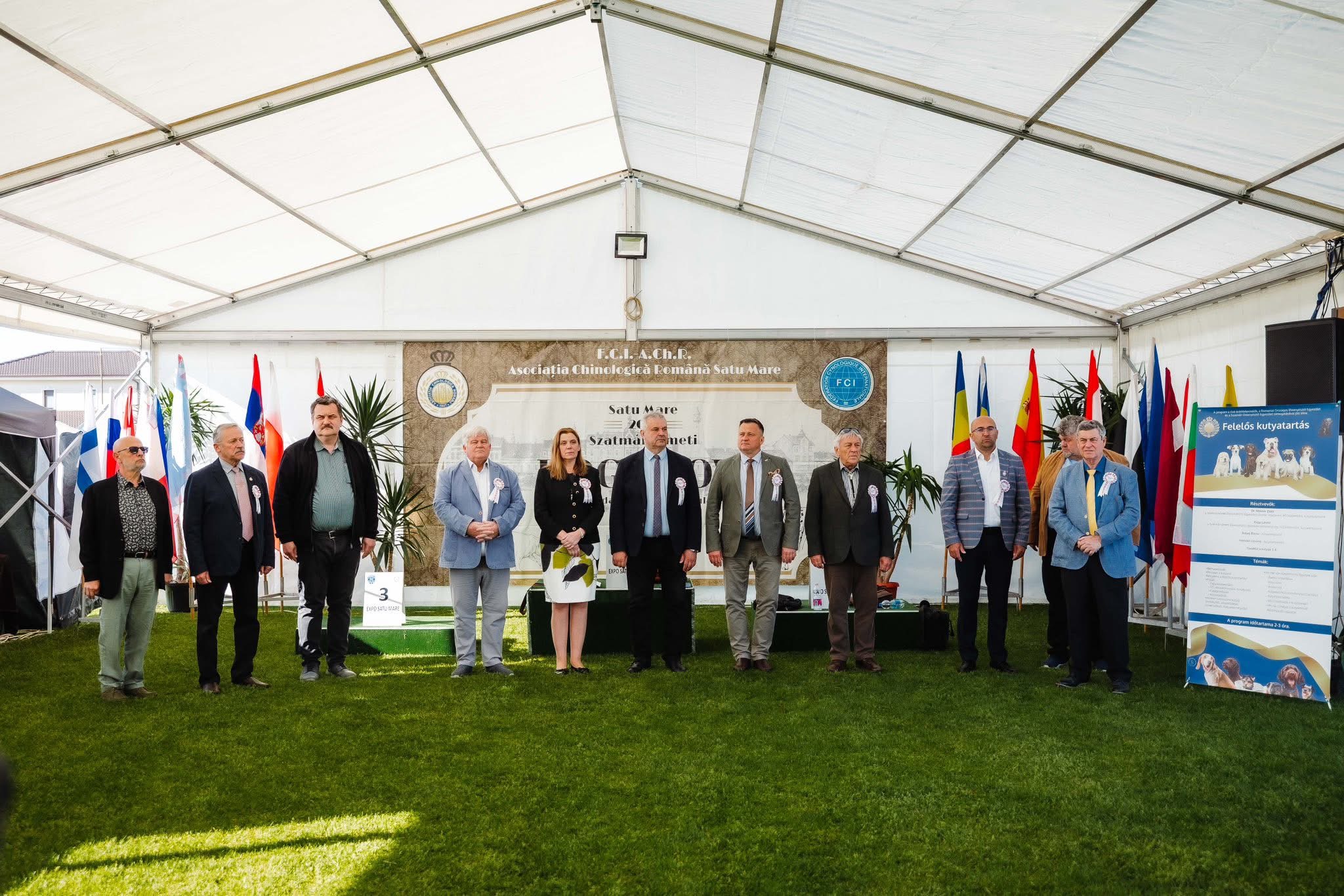 FOTO. Satu Mare Dog Show ediția cu numărul 49. Peste  1630 de câini din 18 țări concurează