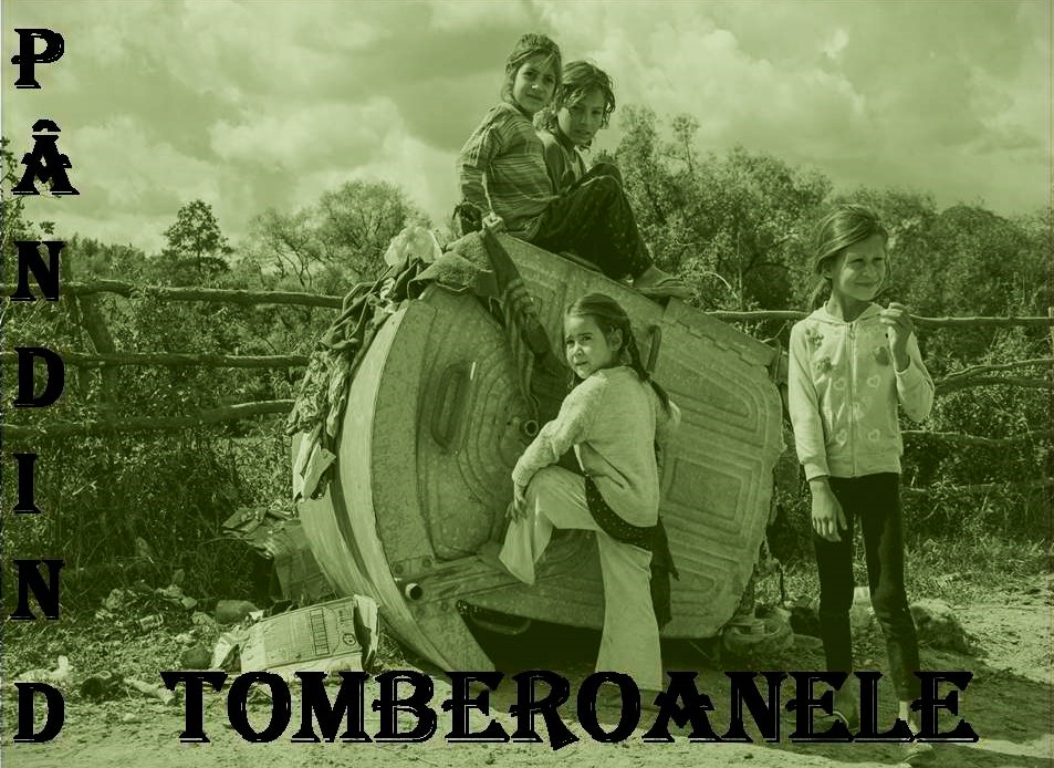 VERTICALI PENTRU ROMÂNIA: CONVULSII TĂCUTE