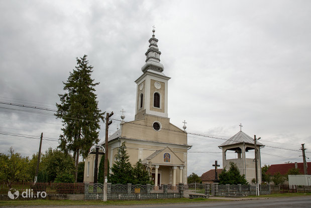 Pomi și rădăcinile sale – istoricul comunei  și al satelor ce o întregesc