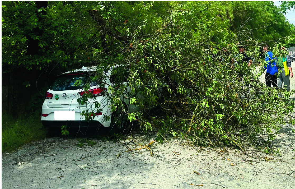 Că așa-i în tenis...