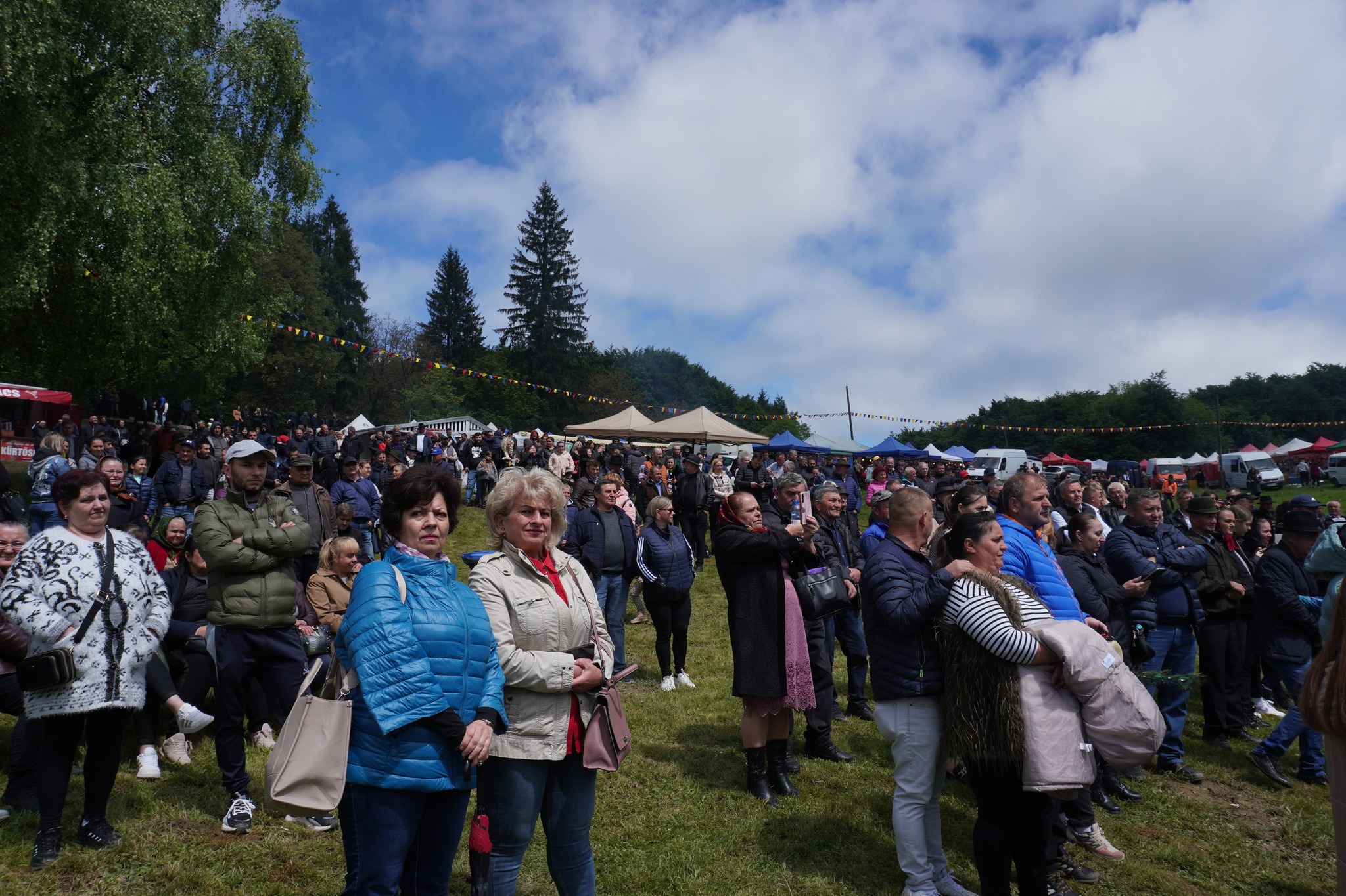 ORDINE. Infracțiuni surprinse în flagrant de jandarmii sătmăreni la „Sâmbra Oilor”