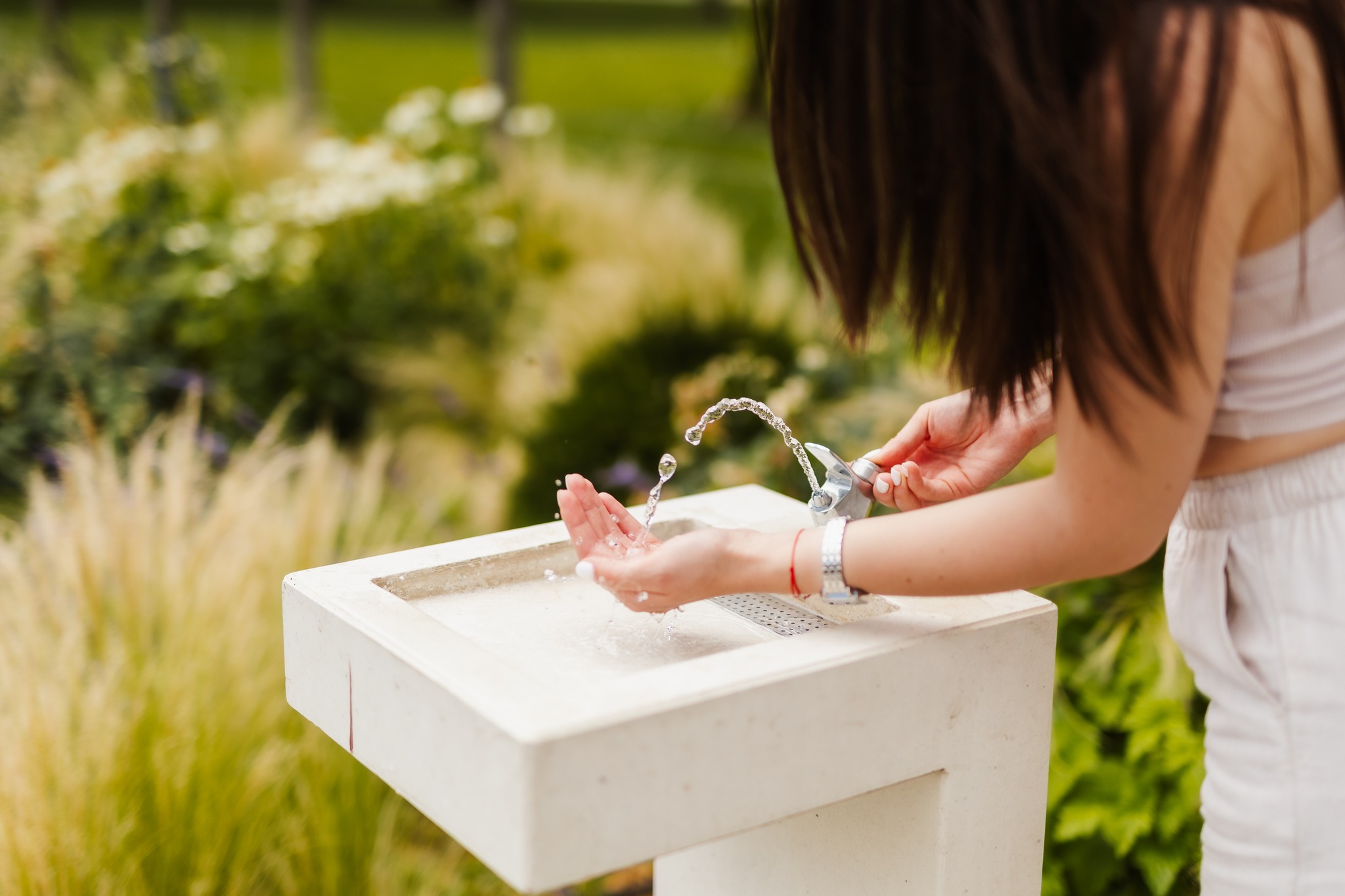 Cișmelele stradale de pe raza municipiului Satu Mare