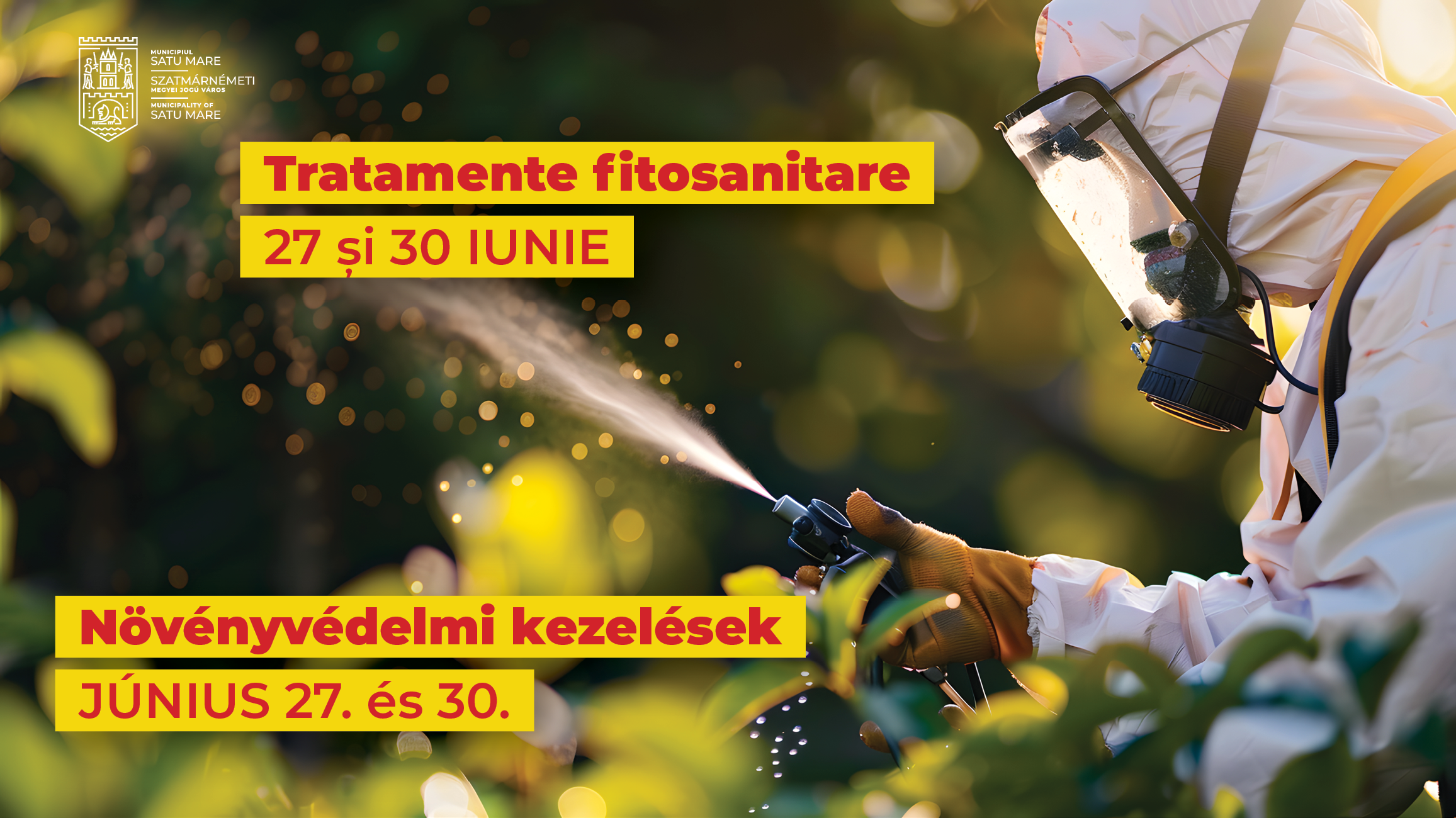 Tratamente fitosanitare la arborii de pe domeniul public