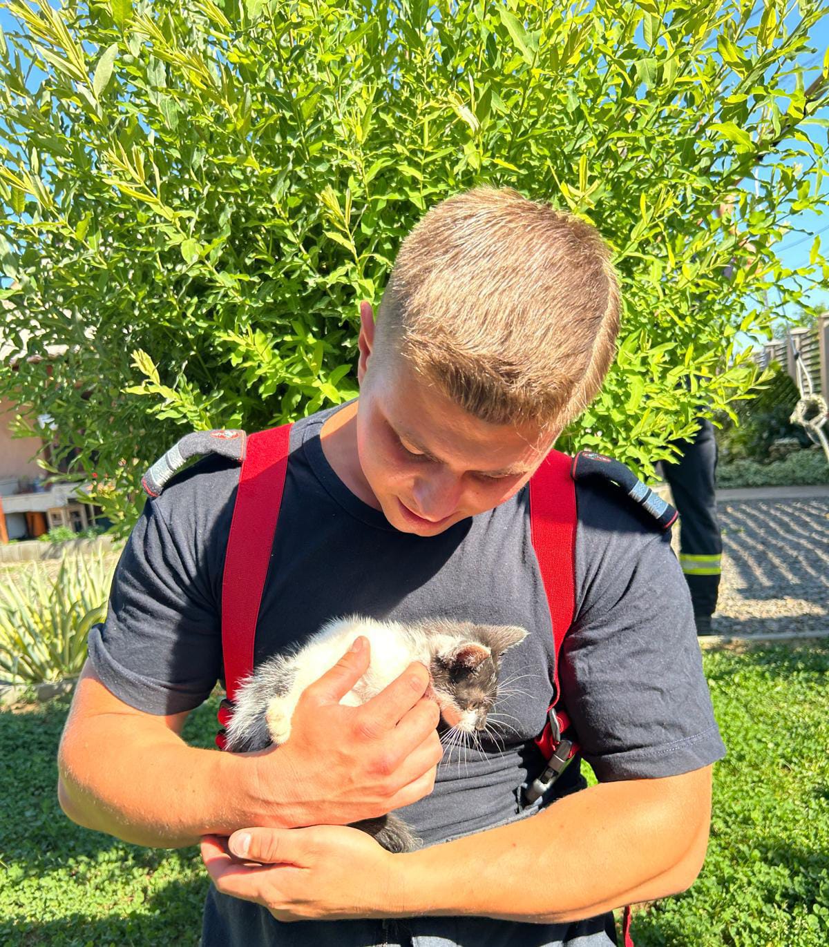 FOTO. Pui de pisică salvat de pompieri dintr-un puț adânc