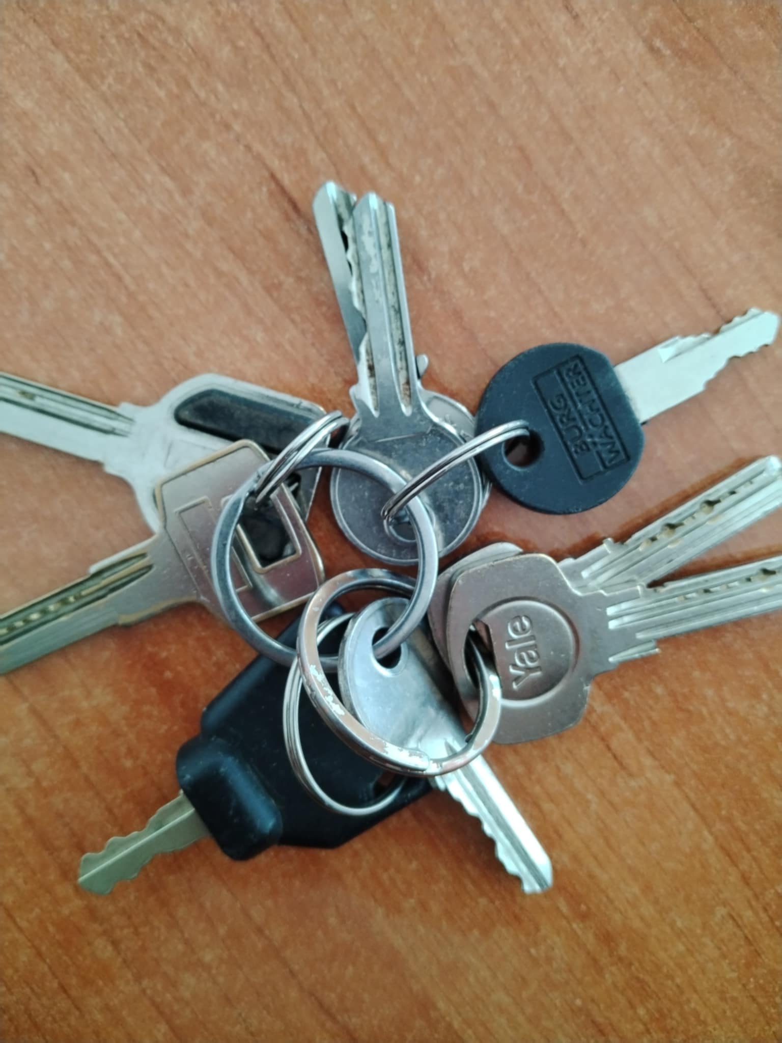 O bursă a obiectelor pierdute în autobuze!