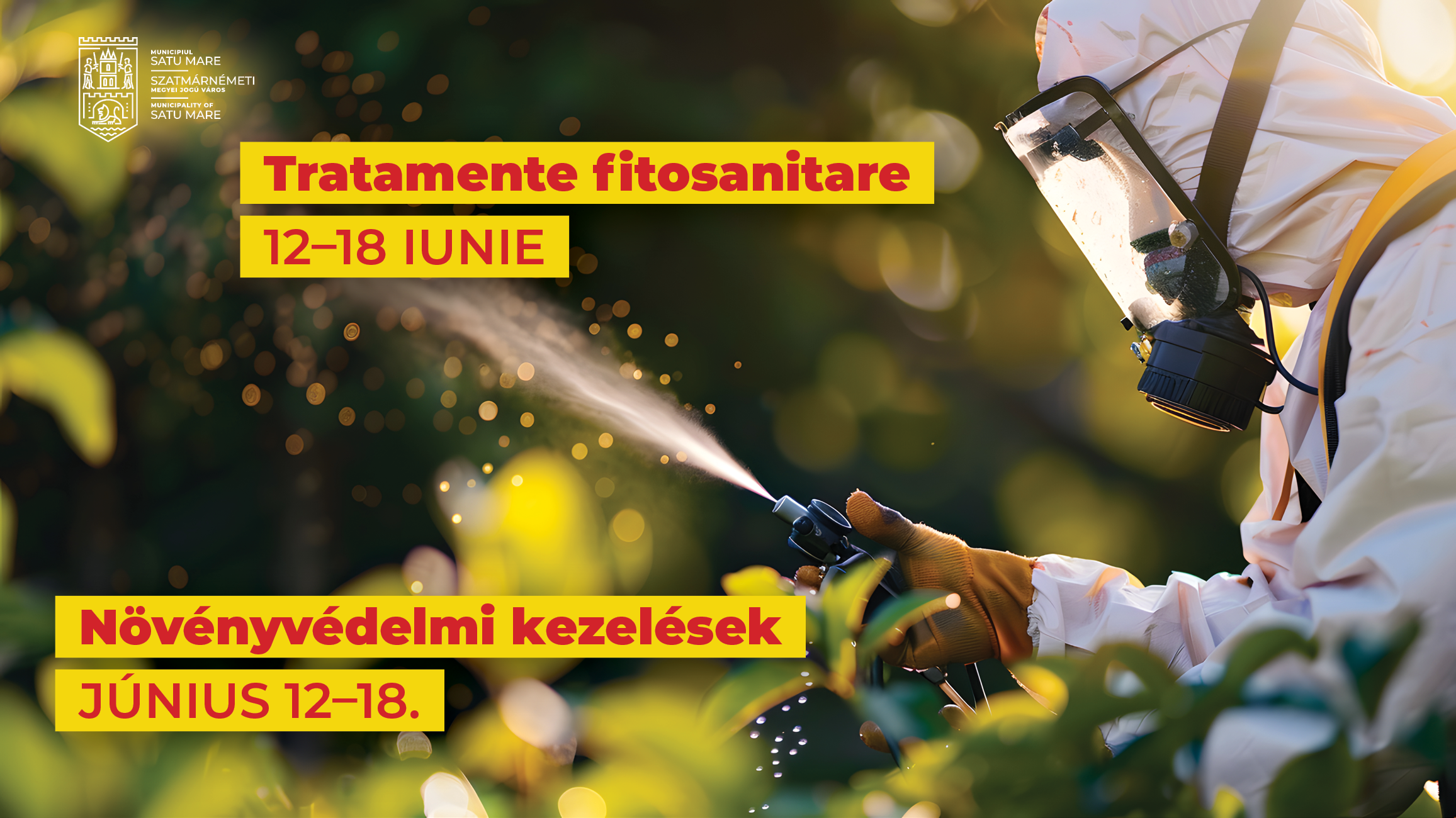 Tratamente fitosanitare la arborii de pe domeniul public al municipiului Satu Mare