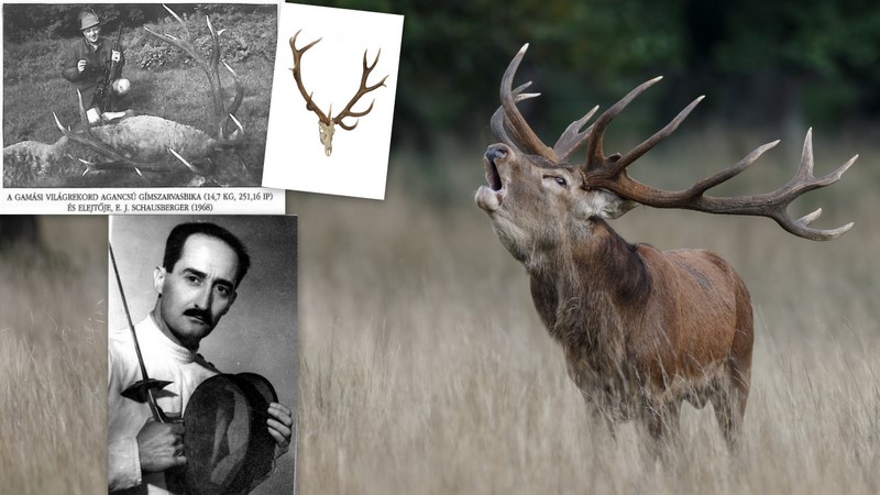 O viață cu două pasiuni: Dr. Bay Béla, maestrul scrimei și al vânătorii