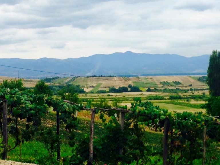 Călinești-Oaș – Locul în care dorul nu pleacă niciodată