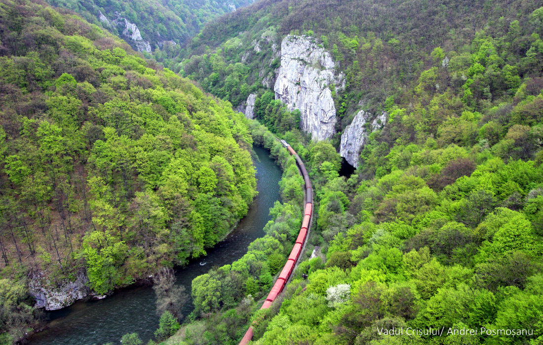 Destinații de week-end: 10 atracții de neratat în Pădurea Craiului – Comori ascunse din inima Apusenilor