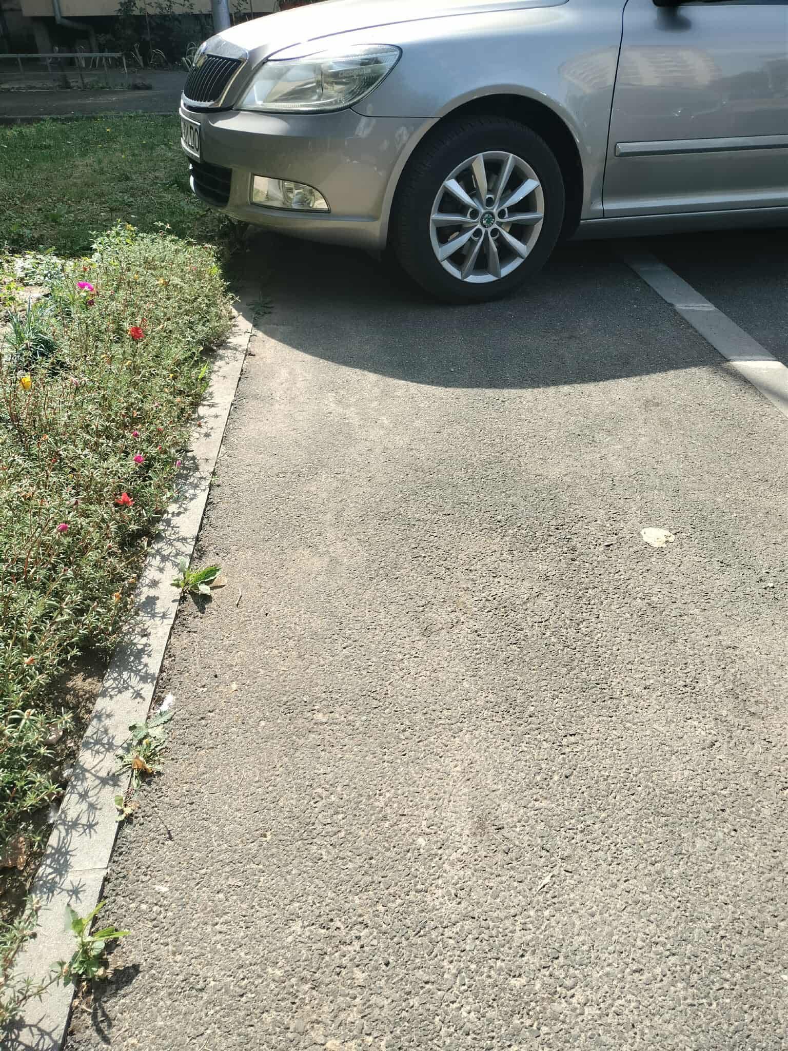 Parcare și nepăsare