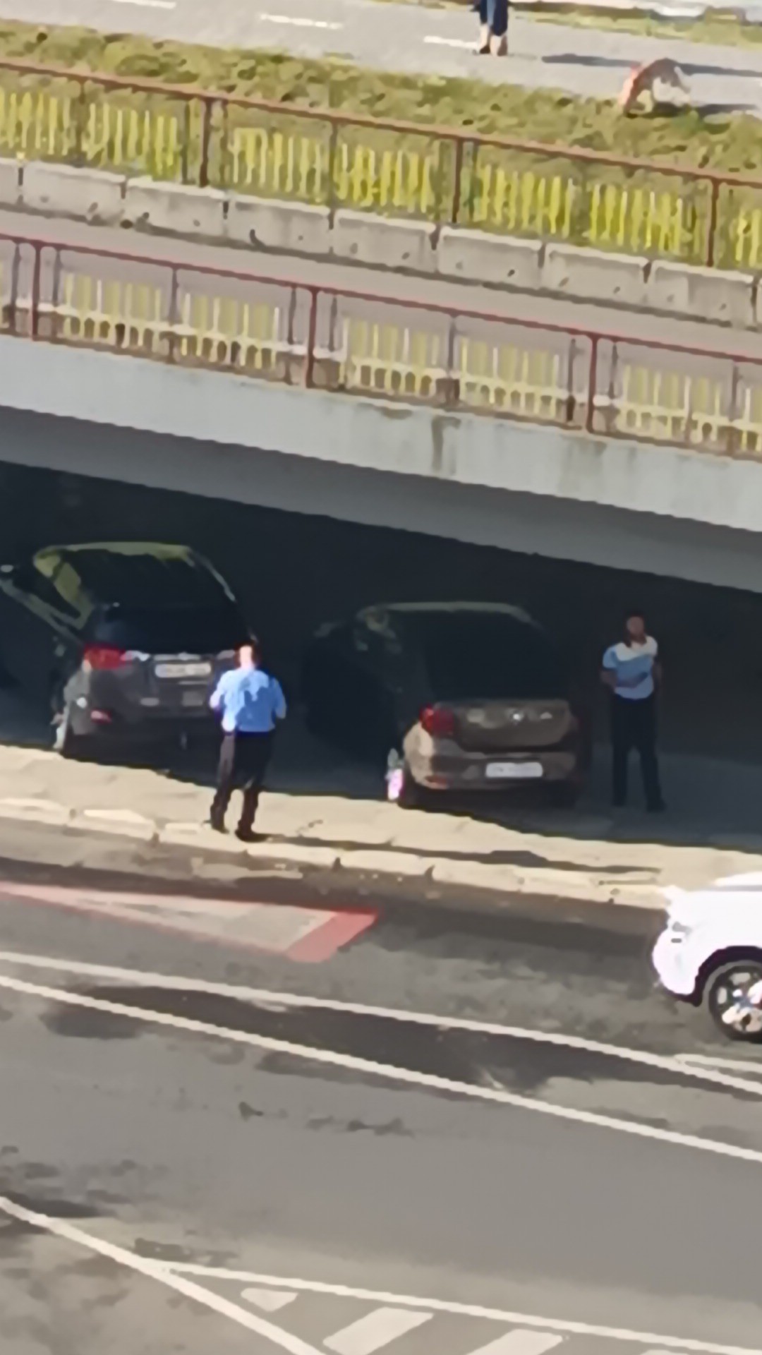 Natura mai iartă, la Satu Mare,  dar legea mai rar