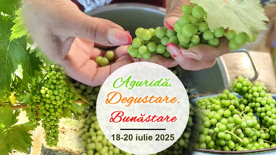 Agurida Verii – Trei Zile de Poveste la Vinăria Jugrestan lângă Carei