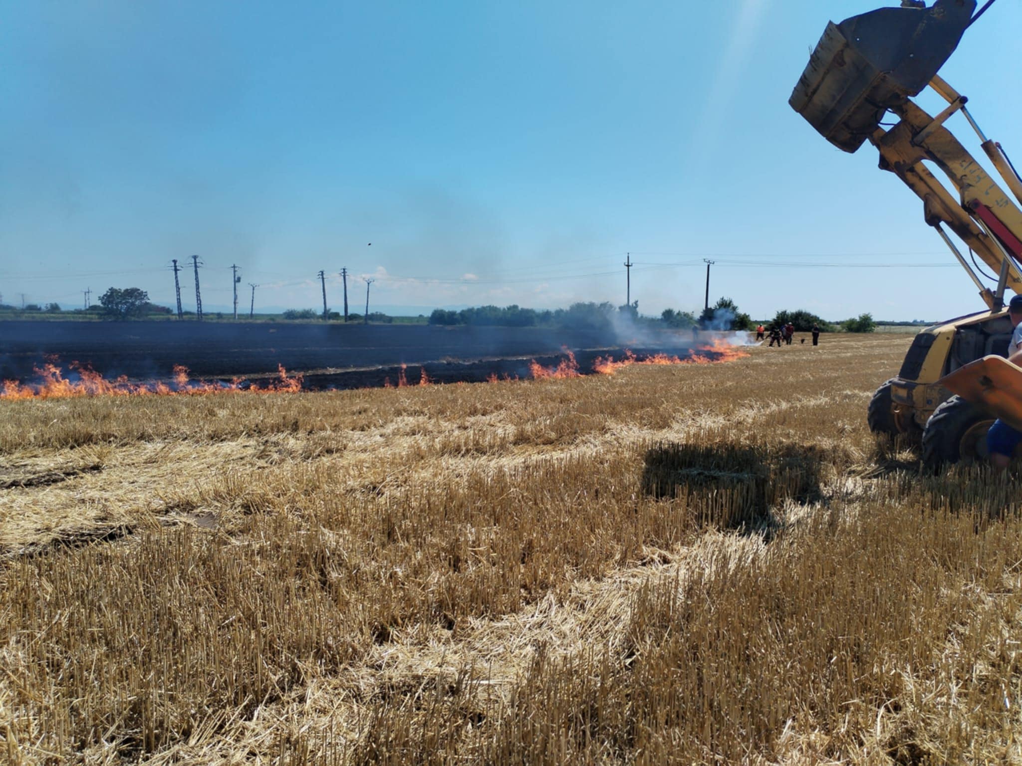 Incendiu de vegetație uscată aproape de municipiul Satu Mare