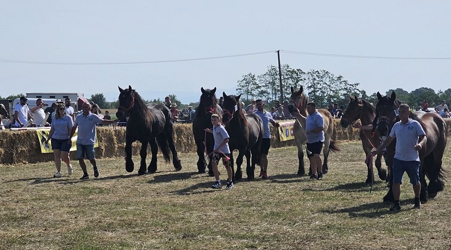 FOTOGALERIE. TRADIȚIE. Sărbătoare în Mădăraș cu spectacol ecvestru, muzică populară și produse locale