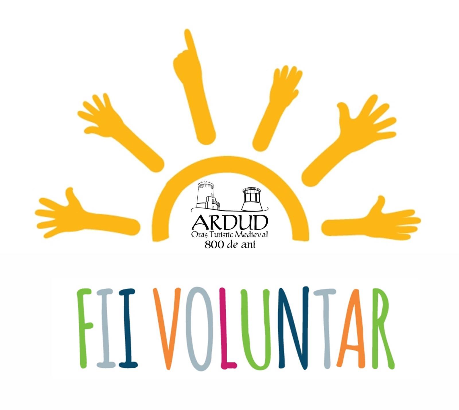 Fii voluntar la MedievArtFest Ardud 2025 – Adu istoria la viață, alături de cavaleri și domnițe!