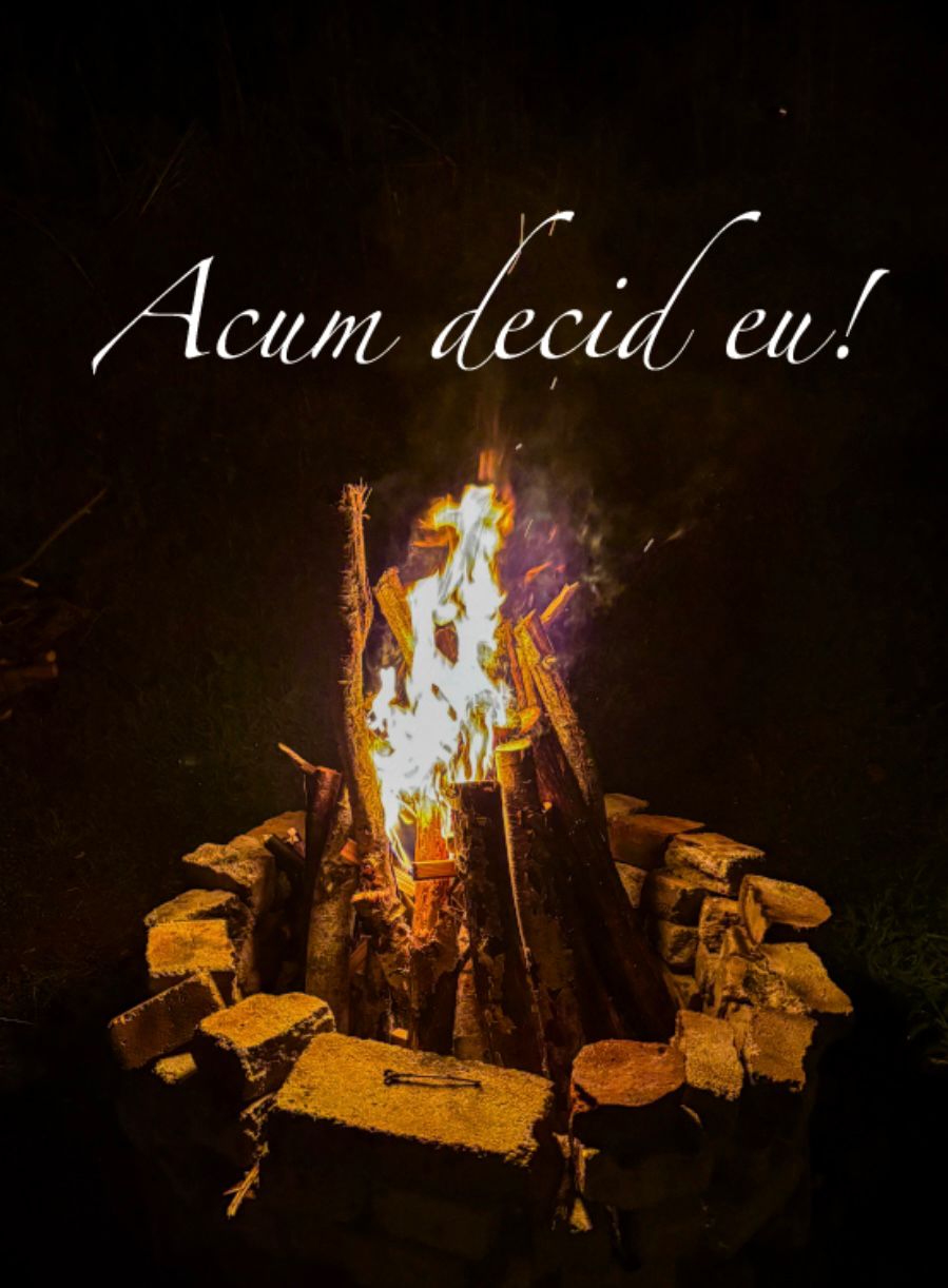 VERTICALI PENTRU ROMÂNIA: REGĂSIRI