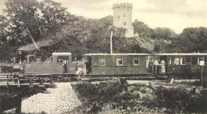 Ardud, oglinda unei epoci: de la 1900 la anii interbelici