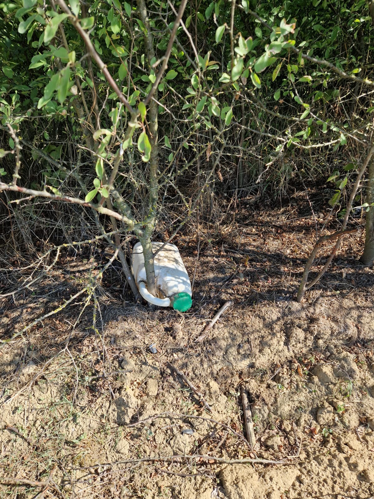 Ca în viață: care pe care!