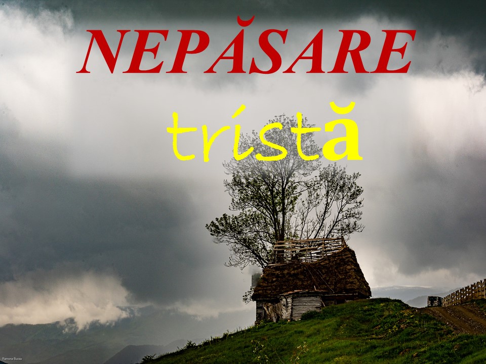 VERTICALI PENTRU ROMÂNIA: CONVULSII TĂCUTE