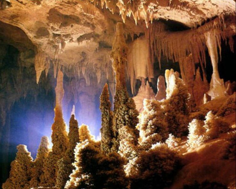 Peștera Pojarul Poliței – Catedrala de piatră a Apusenilor, taina săpată în inima munților