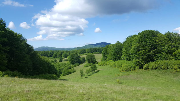 Turț-Băi – un colț de istorie și natură