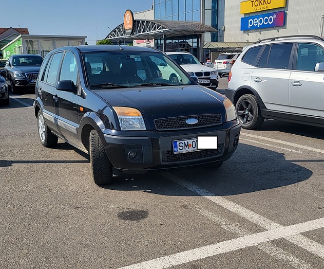 Capodoperă de parcare  la Satu Mare