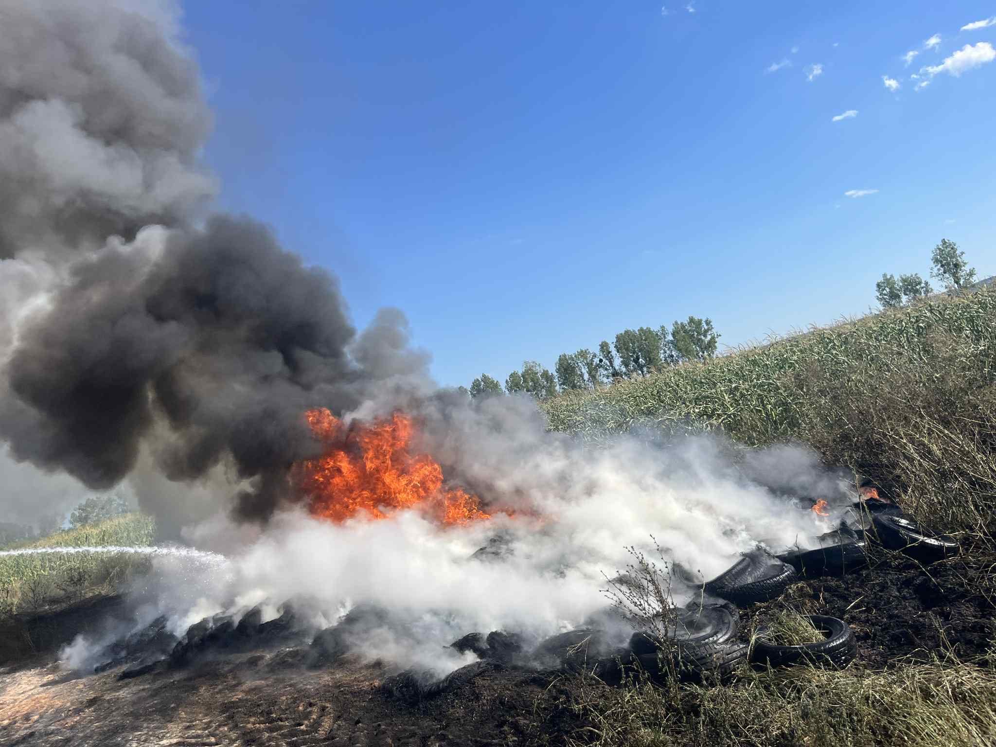 Incendiu de vegetație în localitatea Valea Vinului