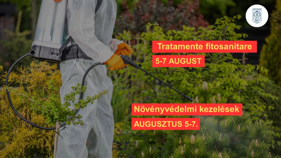 Continuă seria tratamentelor fitosanitare la arborii de pe domeniul public