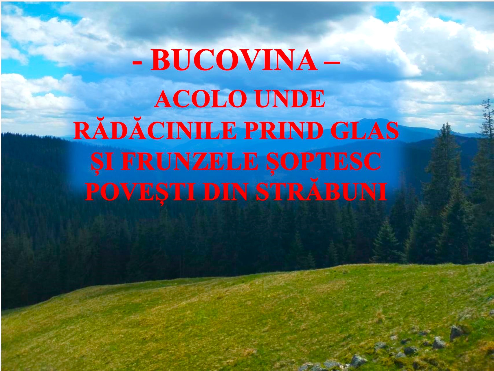VERTICALI PENTRU ROMÂNIA – BUCOVINA: INIMA IDENTITĂȚII ROMÂNEȘTI
