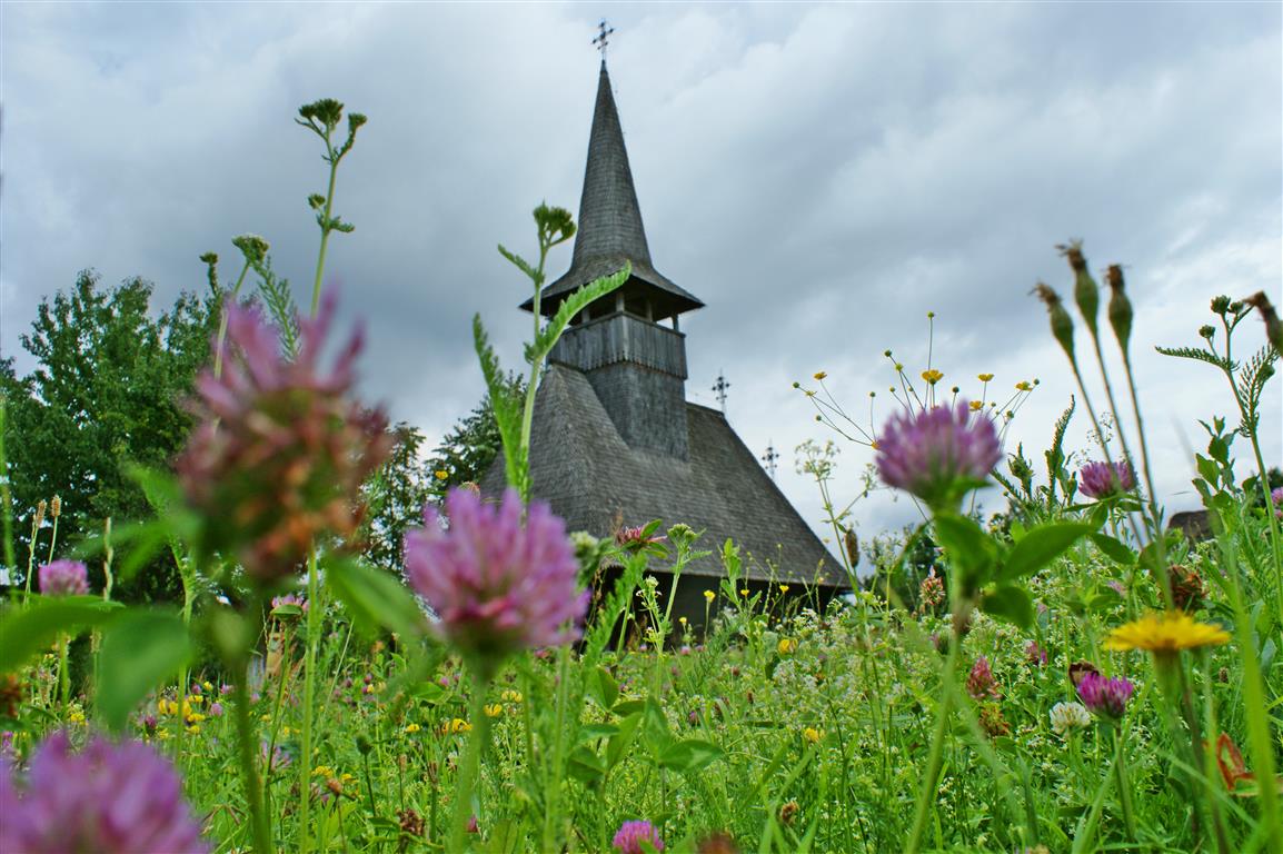 Lechința -  satul cu rădăcini adânci și cu singura biserică de lemn din Țara Oașului