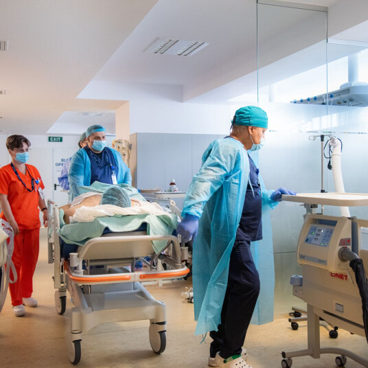 ALERTĂ SANITARĂ  Trei sătmăreni, în stare gravă la Terapie Intensivă, după ce au consumat ciuperci culese din pădure