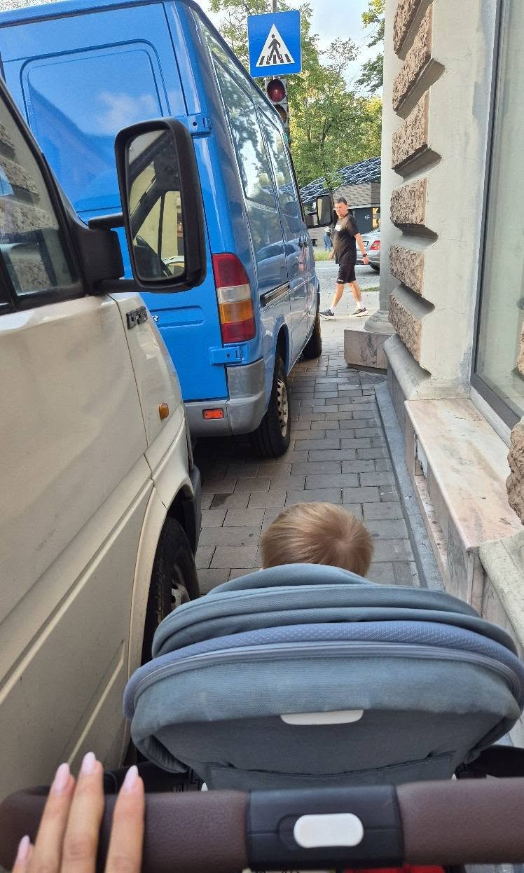 Dubița, mămica și căruciorul